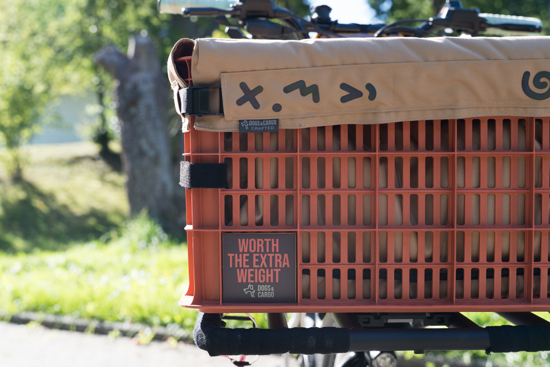 Ride-A-Woof richtig befestigen