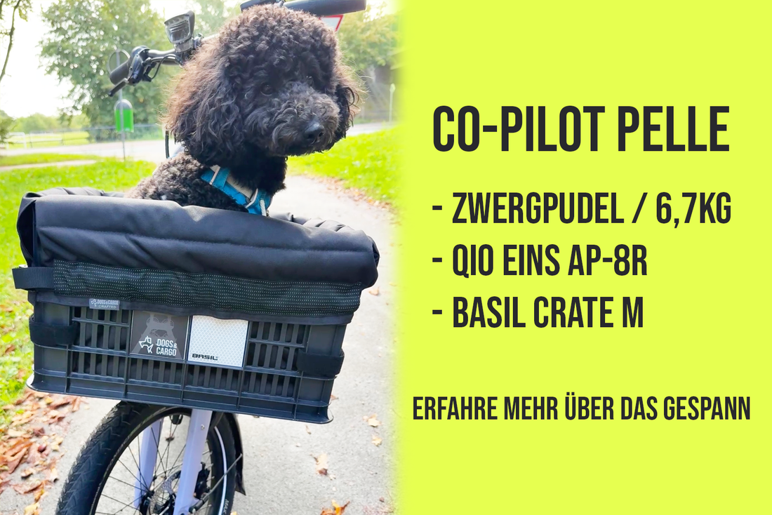 Co-Pilot Pelle im Qio Eins