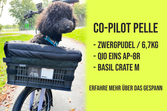 Co-Pilot Pelle im Qio Eins