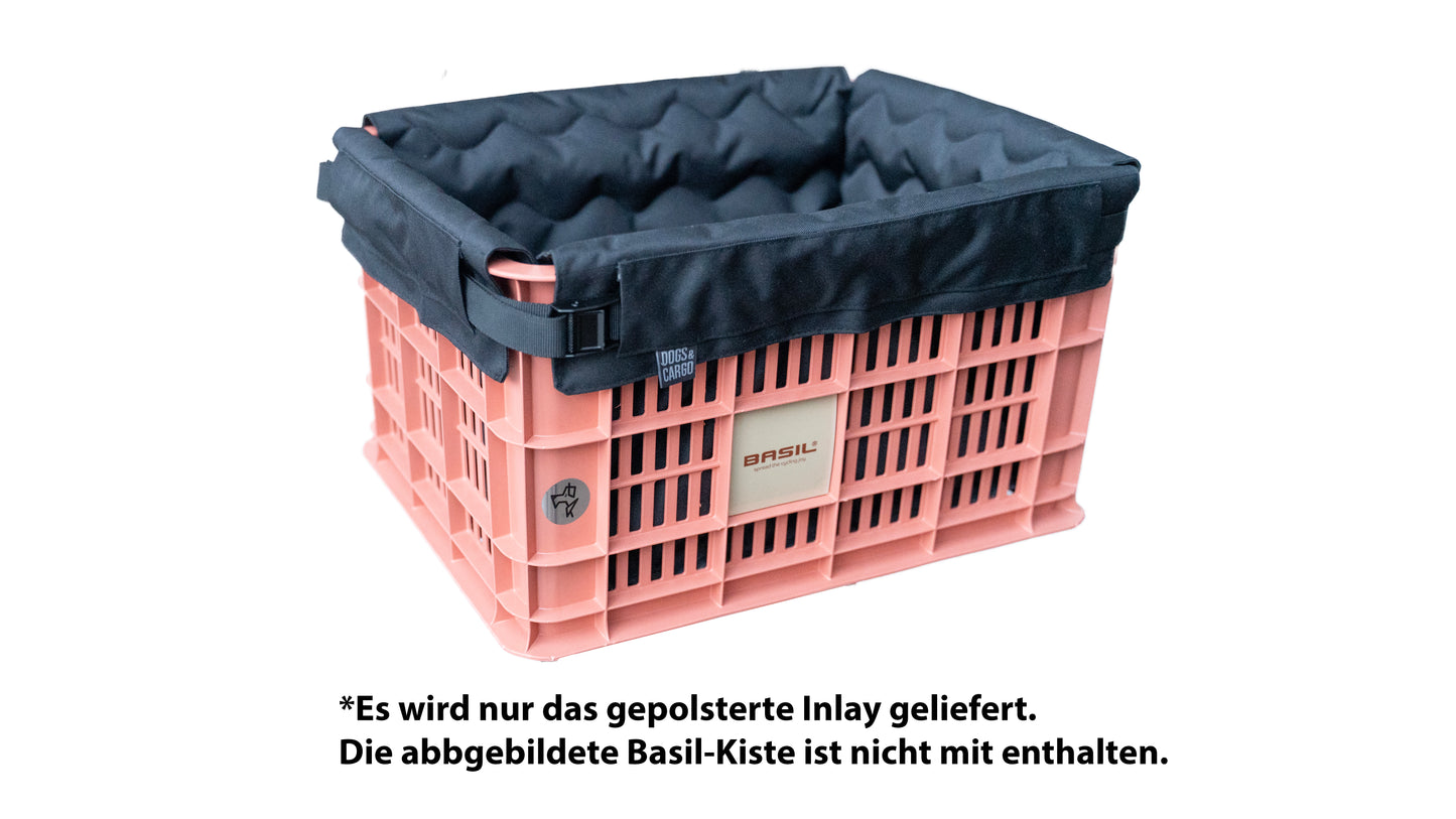 Ride-A-Woof for Basil