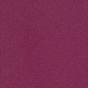 Ride-A-Woof for Basil