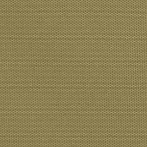 Ride-A-Woof for Basil