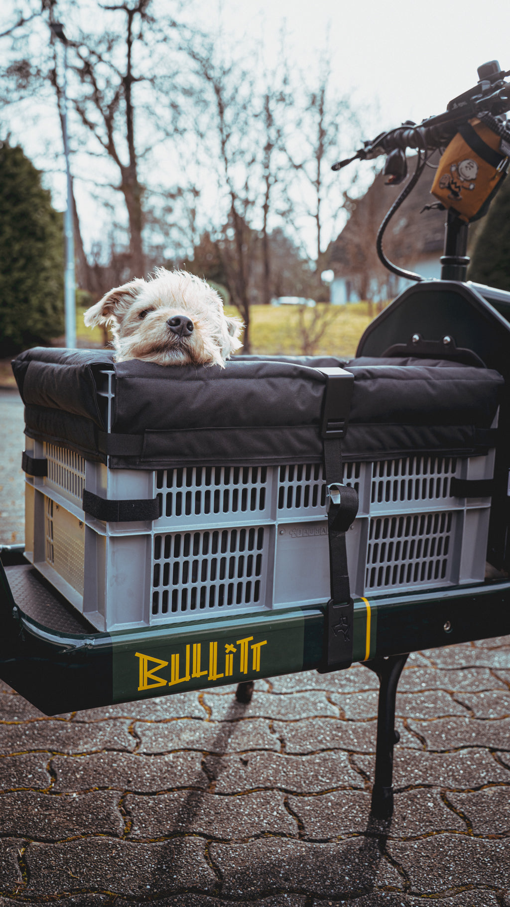 Ride-A-Woof for Eurobox
