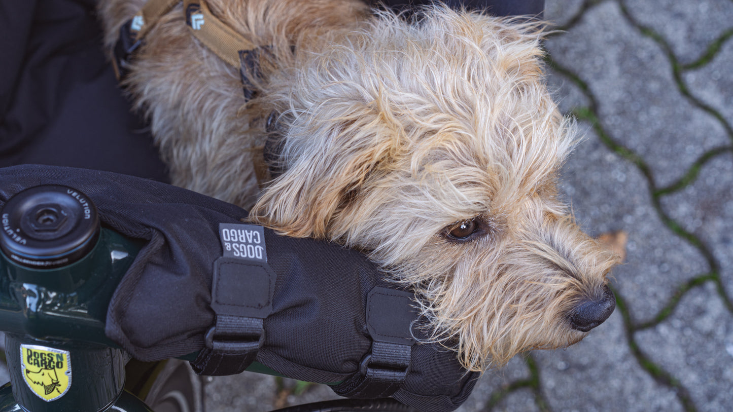 Ride-A-Woof for Bullitt