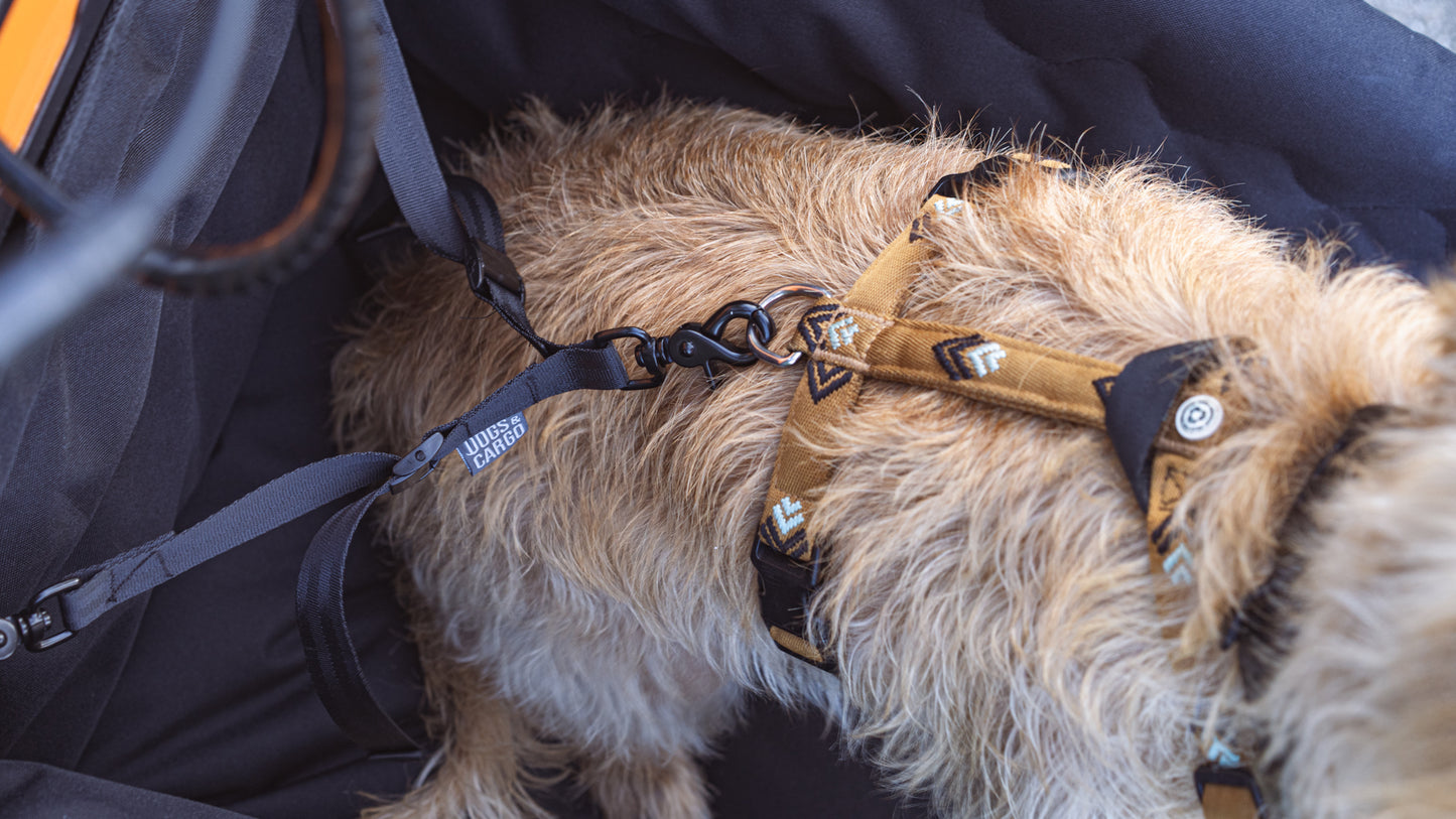 Ride-A-Woof for Bullitt